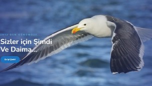 Türkçeden Koreceye Çevir: İşte Pratik Bir Rehber