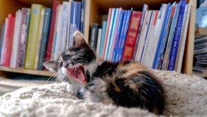 Zamana yenilmeyen meslek: ''Kazanlarda yakılmasın''