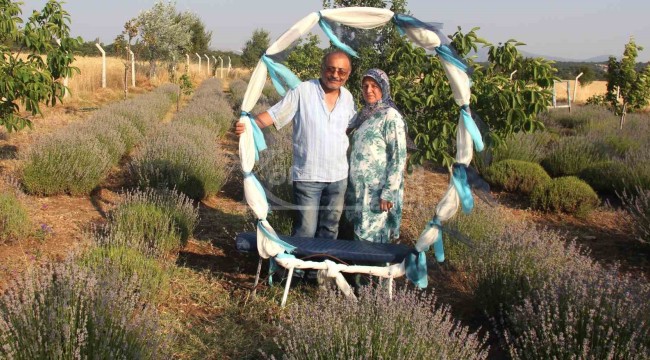 Atalarından kalan toprağa hobi amaçlı diktiler, gelir kapıları oldu