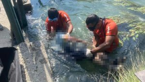 Caner Kaplan, sulama kanalında cansız bulundu