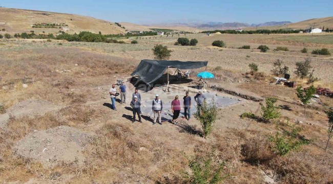 Çiftçi tarlasında fidan dikerken tesadüfen buldu