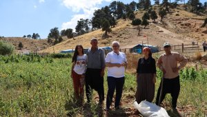 Dağların son temsilcileri 20 bin lira maaşla çalışacak işçi bulamıyor