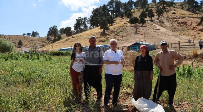 Dağların son temsilcileri 20 bin lira maaşla çalışacak işçi bulamıyor