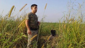 Eczacı Mahmut Cenik ormanda ölü olarak bulundu