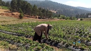 Köyünde üretime başladı, hedefinde projelerini hayata geçirmek var
