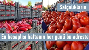 Salçalık biber ve domatesler bu adreste