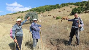 30 bin TL maaşla çalışan bulamayınca çözümü nöbetleşmekte buldular