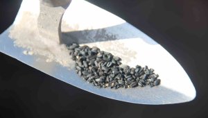 4 bin 200 yıllık çukurun içerisinde birden fazla çeşidi bulundu