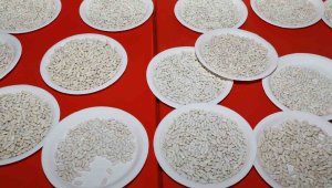 700 dekarda üretimin ekonomiye katkısı yaklaşık 17 milyon lira