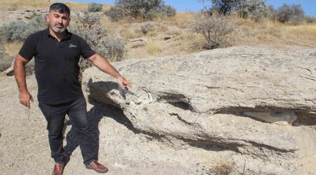 Binlerce yıllık olma ihtimali var, arazide gezerken gördü