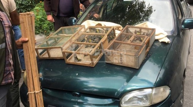 Erdemli'de saka kuşlarıyla yakalanan şahıslara 73 bin lira ceza