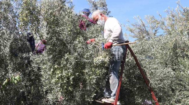 Fiyatı 10 ila 60 lira arasında değişiyor, ilçeden dünyanın her yerine gidiyor