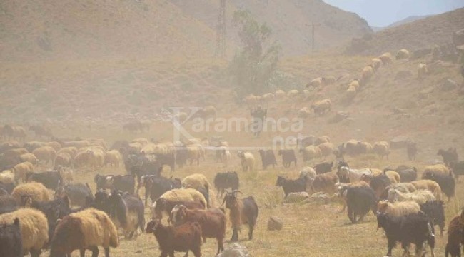 Göçerler son demlerini yaşıyor