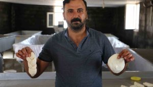 Günlük 11 köyden toplayıp üretiyorlar, Türkiye'nin her yerine gönderiyorlar