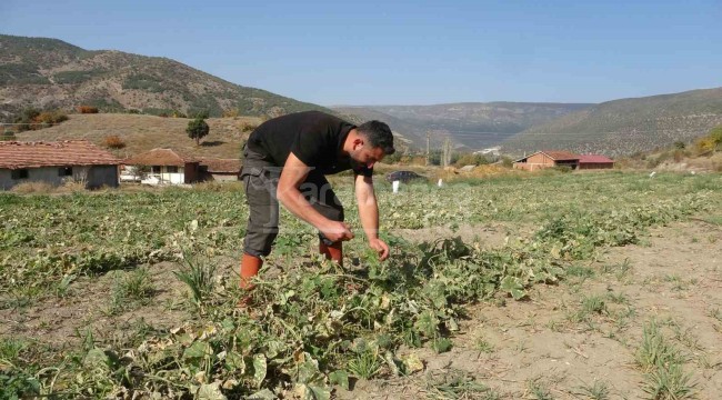 Atanamadığı için çok mutlu, yakında fabrika kuracak