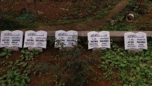 Dört eşli adamın ilginç hikayesi: ''Ocağı şenlensin diye hanımları evlendirdi''