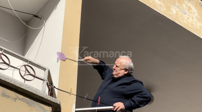 Köyü uğur böcekleri bastı, vatandaş ne yapacağını şaşırdı