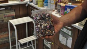 Mevsim geçişlerini bu bitkiler koruyor