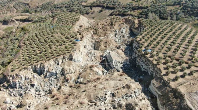 Ortadan ikiye ayırılan bahçede çalışanları tedirgin eden hasat