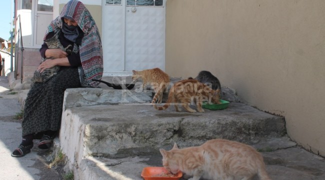 Tam 50 yıldır gözü gibi bakıyor: ''Aylık masrafı bin lirayı buluyor''