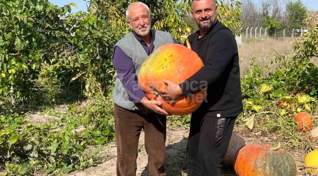 Tohumunu dağıtacak, ilk defa böyle bir ürün yetiştirdi