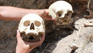 Toplu gömüldüğü iddia edilen insan kemikleri ortaya çıktı