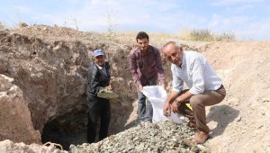 Yerin 3 metre altından çıkartılıyor, köylünün ekmek kapısı oldu