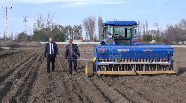 Bölgede ilk kez ekimi yapıldı, dönüm başına bir ton verim bekliyorlar