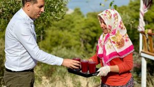 Daldan sofraya, kazanılan gelir bu işle uğraşanların yüzünü güldürüyor