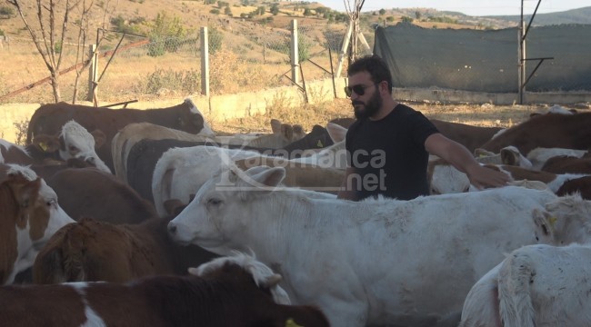 Hobi olarak başladı, Türkiye'nin dört bir yanına satıyor