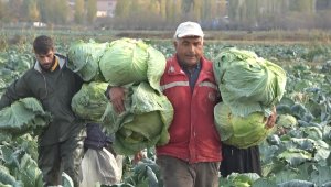 Kent ekonomisine 90 milyon lira gelir bekleniyor