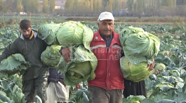 Kent ekonomisine 90 milyon lira gelir bekleniyor