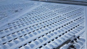 Mevsimi sert geçen kentte kış için yüzlerce mezar kazıldı