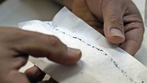 Profesörden uyarı: Kış uykusuna yatmadılar, kan emmeye devam ediyorlar