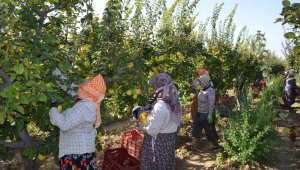 Türkiye üretiminin yüzde 4'ü bu kentte gerçekleşiyor