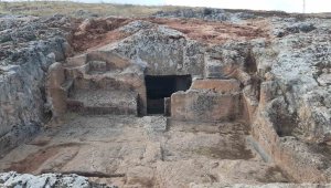 80 hektarlık alana yayılıyor