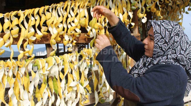 Bahçede dalından kilosu 30 kuruş, kabuğu ise 17 liradan satılıyor