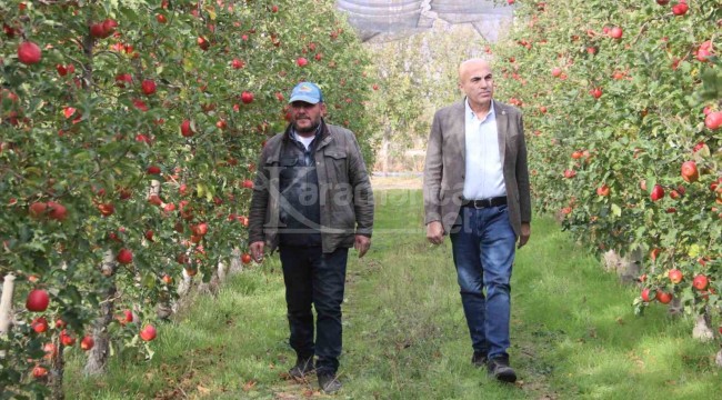 Bahçede 12 lira olan ürün büyükşehirde 4'e katlayınca rahatsız oldular