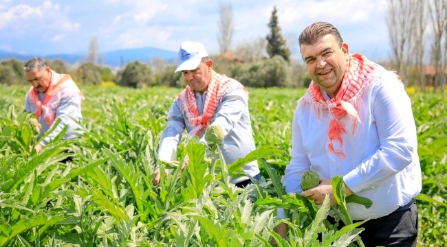 300 bin ton tohum dağıtıldı, bölge halkı geçimini böyle sağlıyor