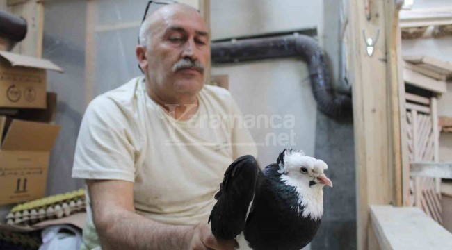 Asırlardır 'Türk Fısıldayıcısı'nın ötüşünü dinliyorlar, gönüllüler besliyor