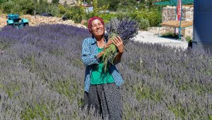 Belediye 13 ilçede üreticiyi destekliyor, vatandaşın yüzleri gülüyor