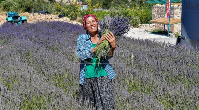 Belediye 13 ilçede üreticiyi destekliyor, vatandaşın yüzleri gülüyor