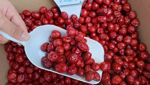 Bu meyvenin faydaları pes dedirtiyor, kilosu 125 liradan satılıyor