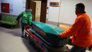 Kesilen ağacın altında kalan Musa Alakaya öldü