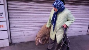 Kızı gibi baktığı Kadriye, peşinden ayrılmıyor