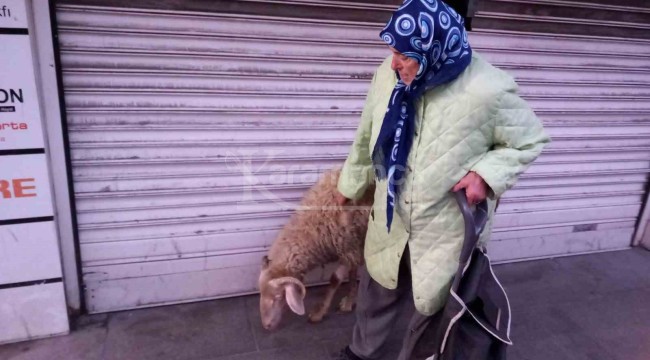 Kızı gibi baktığı Kadriye, peşinden ayrılmıyor