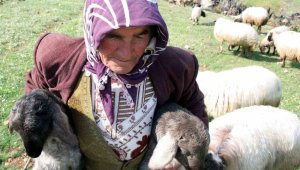 Orta Asya'dan Anadolu'ya uzanan yaşam serüvenleri takip edildi