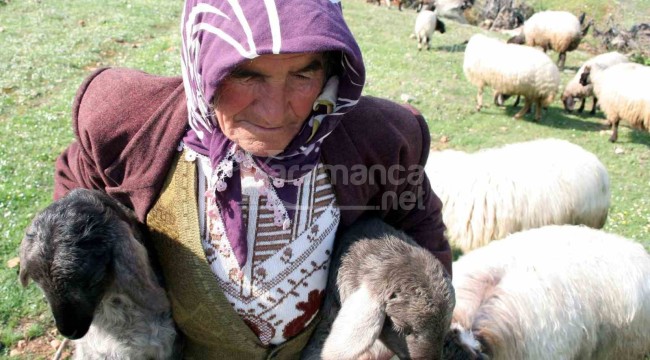 Orta Asya'dan Anadolu'ya uzanan yaşam serüvenleri takip edildi