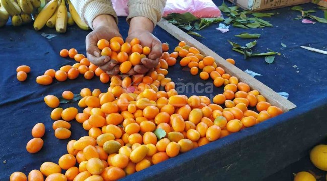 Şifa deposu meyve rağbet görüyor, 70 liradan satılıyor