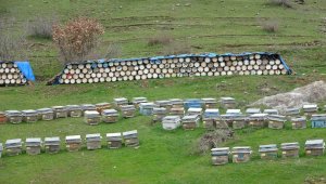 45 ülkeden 200 katılımcı arasından altın ödül aldı